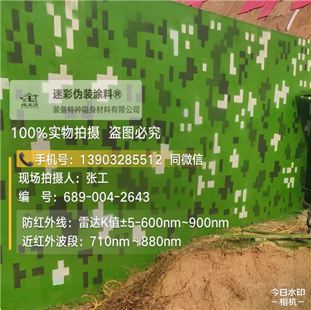 淄博星空迷彩漆，夏令营训练,数码迷彩作训墙,围墙